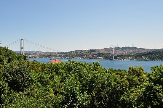 Validebağ Korusu'nda Tahsis Bilmecesi