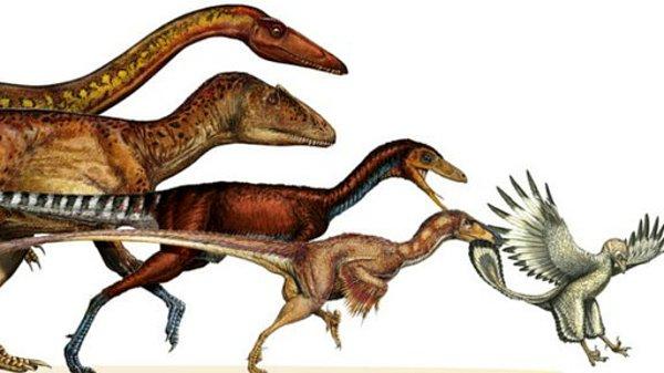 Günümüz hayvanları ise dinozorların sahip olduğu bu muhteşem kombinasyona sahip değil.