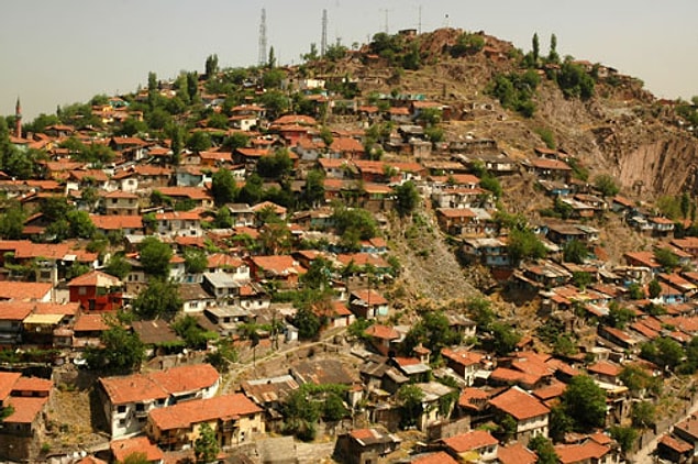 7. Çinçin