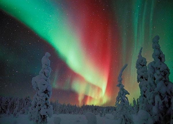 Kutup Işınları:Aurora