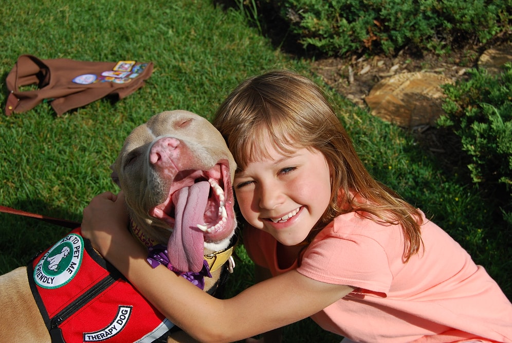 Tehlikeli Olarak Bilinen Köpek Türlerinin Ne Kadar Sevgi Dolu Yetiştirilebileceğini Gösteren 20 Fotoğraf