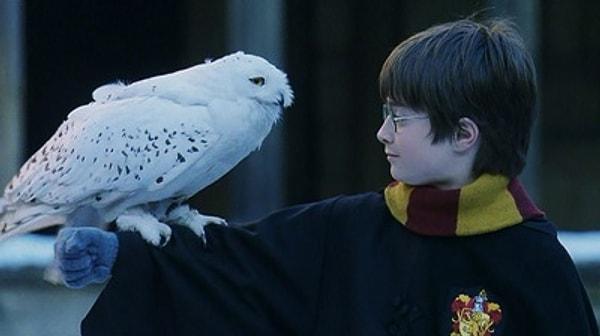 48. Yazar Hedwig'i öldürdü çünkü o masumiyeti temsil ediyordu. Onun ölümüyle birlikte Harry'nin çocukluğu da son buldu.