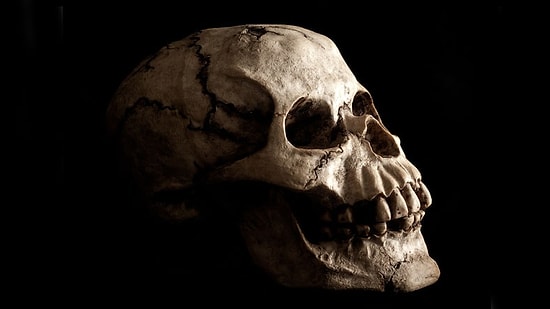 İnsanlık Testosteronun Azalmasıyla İlerledi