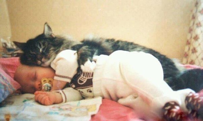 Sarılmayı En Az Bizim Kadar Seven 30 Kedi