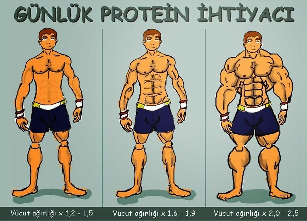 Protein Tozu mu Yoksa Normal Beslenme mi?