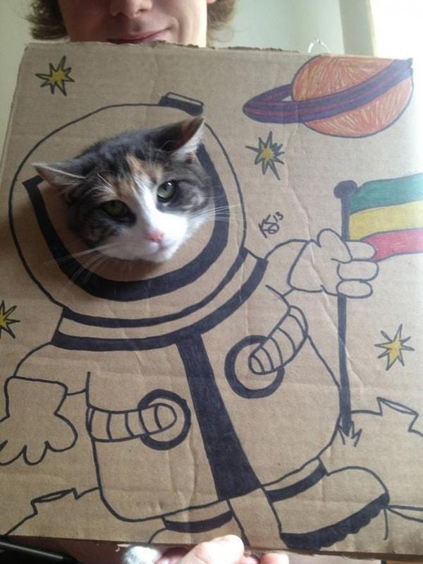 1-) Kediler neden uzaya çıkamasın ki!