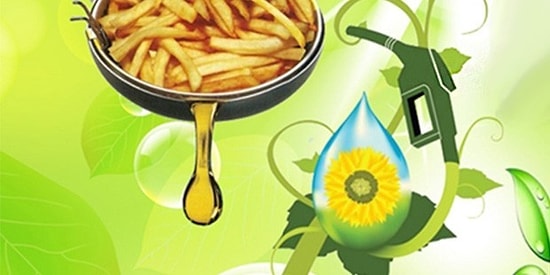 1 Litre Atık Yağ 1 Milyon Litre İçme Suyunu Kirletiyor