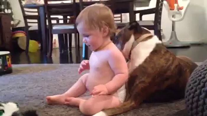 Köpek Yalarken Mest Olan Bebek