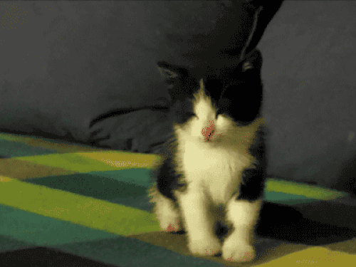 s-df0e2b5a76290efbaa77a3716c134f11511e76a1.gif