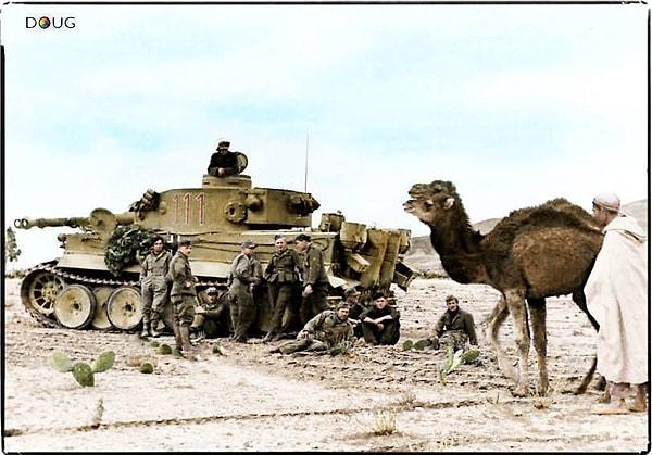 13. Tank mürettabatı ve yanında develeriyle geçen bir Arap Kuzey Afrika 1943