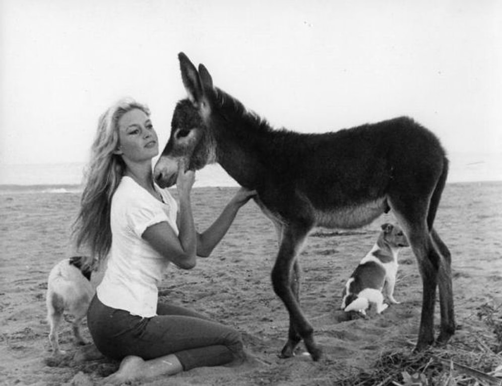 Sarışın Gibi Sarışın: Daha Önce Görmediğiniz 60 Fotoğrafla Bridget Bardot