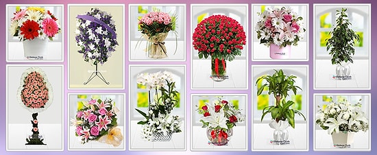 Neymiş Neciymiş Bu Çiçekler