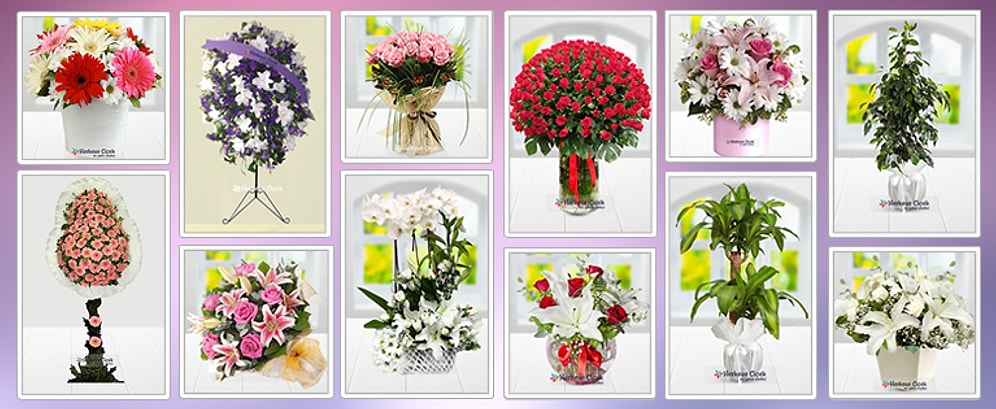 Neymiş Neciymiş Bu Çiçekler