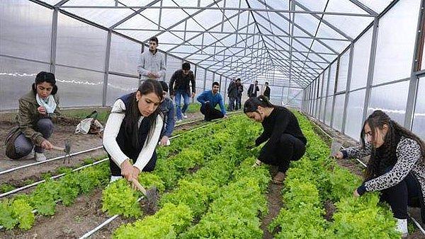 20. Süleyman Demirel Üniversitesi Aksu Mehmet Süreyya Demiraslan Meslek Yüksekokulu organik tarım bölümü