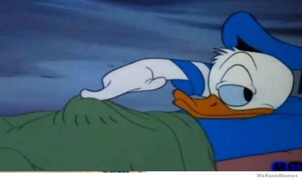 9. Donald Duck ve yatak keyfi ?!?