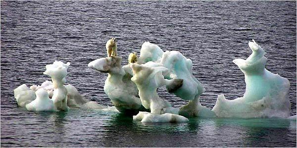 21) Buzulların erimesi -  Kuzey Kutbu