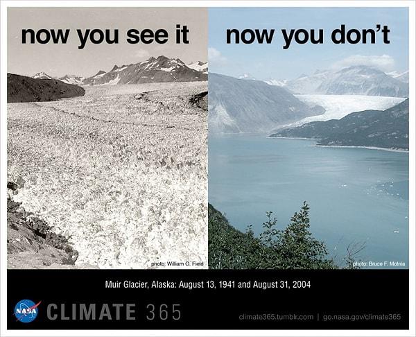 20) Alaska Muir Buzulu - 13 Ağustos 1941 ve 31 Ağustos 2004