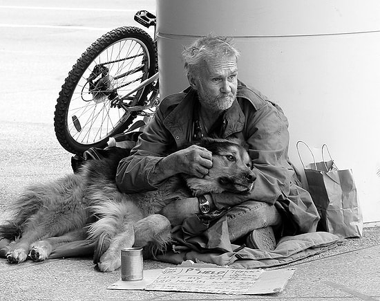 Dostluğun Maddiyatla Alakası Olmadığını Gösteren 15 Harika Köpek