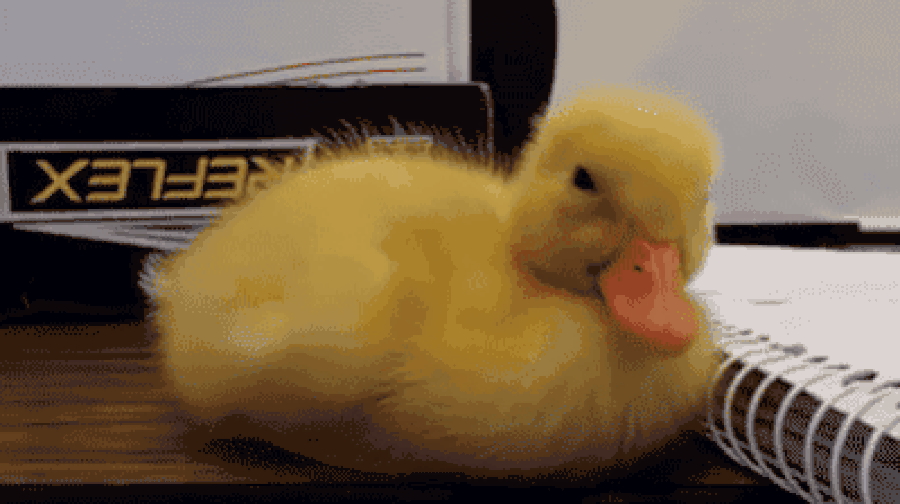 s-b8f8ef8128160b4914a1fd48c4b1f82e6672c74c.gif