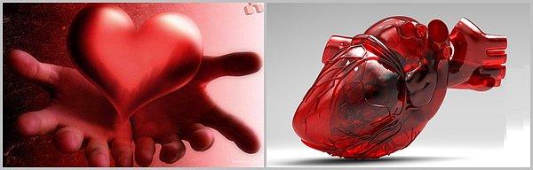 14. Vücudumuzdaki kalbin çizgi filmlerdeki gibi kalp şeklinde olduğunu düşünmek..