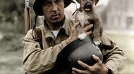 14 Asker ve Onların Sevimli Evcil Hayvanları
