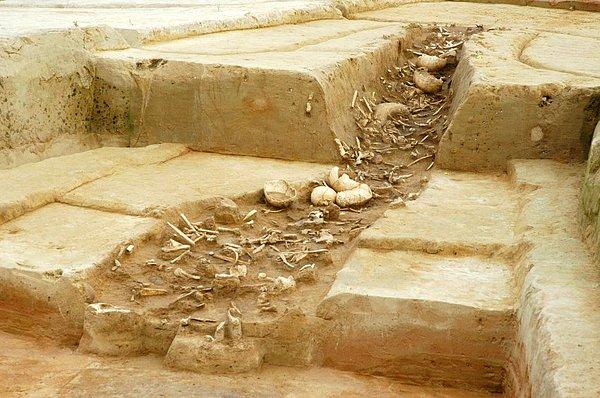 7000 yıllık bu toplu mezar 500 insan kalıntısı içermektedir.