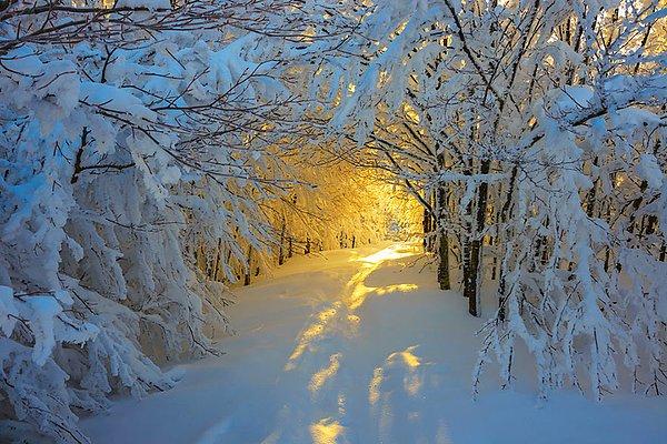 18. Campigna Milli Parkı'nda kış, İtalya