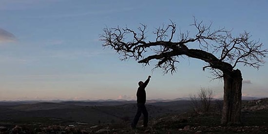 İşte Altın Koza'da Yarışacak Filmler