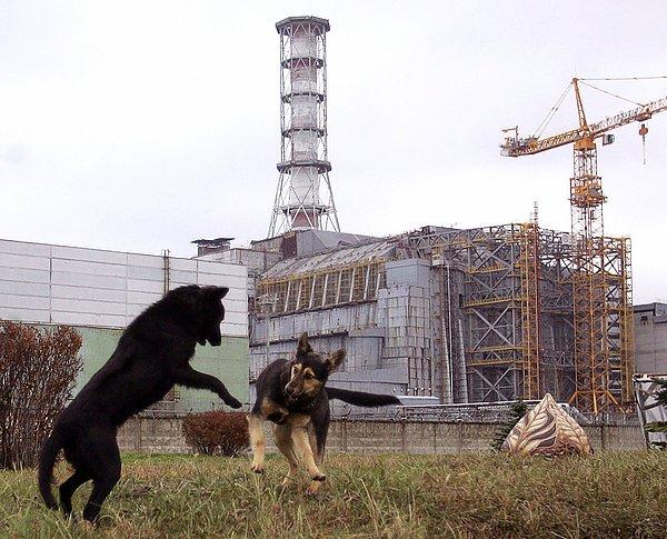 4. Çernobil Nükleer Santrali, Ukrayna