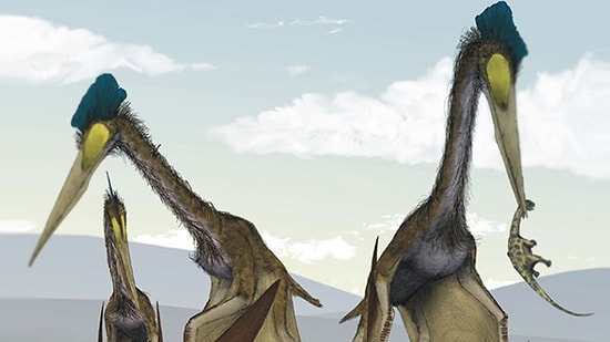 Dişsiz Dev Dinozor Göklerin Hakimiydi