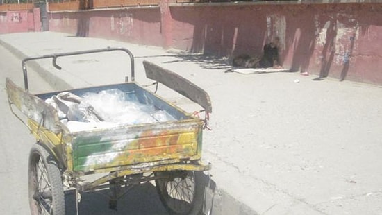 Batman'ın Sıcağında Uyuyakalan Çocuk İşçi