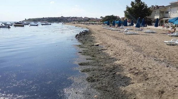 İSKİ'nin Marmara'ya Boşalttığı Atık Su Tehlike Saçıyor