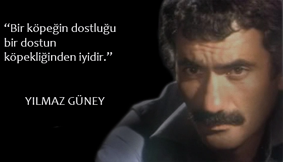 1974'te cezaevinden çıktı. İki yıldan fazla cezaevinde kalan Yılmaz Güney aynı yıl Arkadaş filmini çekti. Yine aynı yıl Endişe adlı filmi çekerken Yumurtalık ilçesindeki bir gazinoda ilçe yargıcı Sefa Mutlu'yu öldürmekten tutuklandı
