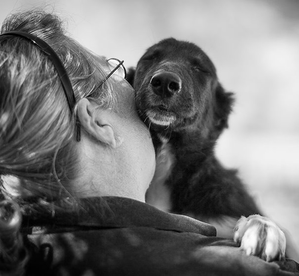 İçinizi Isıtacak 26 En Yakın Dost, "Köpek" Sarılması