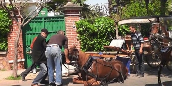 'Büyükada'da Atlı Faytonlar Yerine Elektrikli Faytonlar Kullanılsın'