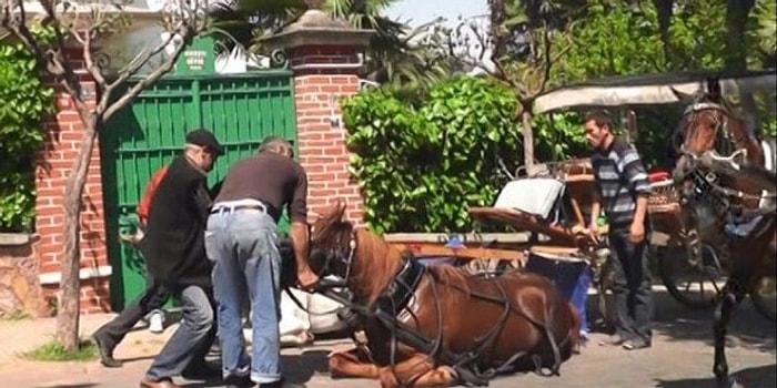 'Büyükada'da Atlı Faytonlar Yerine Elektrikli Faytonlar Kullanılsın'