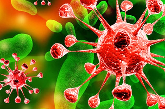 Savunma Sistemimizden 7 Mikro Canlı Örneği