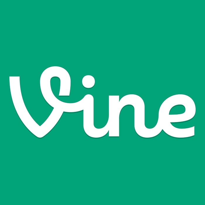 Vine İzlemekten Beyni Sulananların Anlayacağı 10 Şey