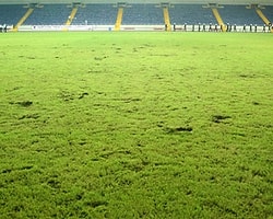 TFF Zemin Skandalına El Attı
