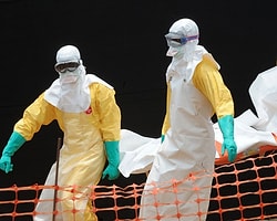 Ebola Salgını Gıda Krizine Yol Açabilir