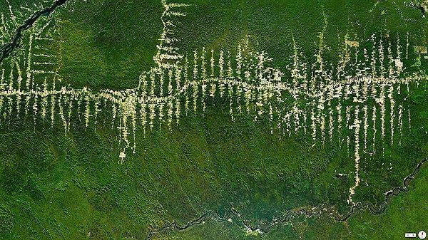 13. Amazon Rainforest Deforestation, Para, Brezilya