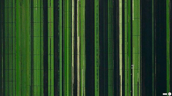 24. Agricultural Development, Loxahatchee, Florida, ABD