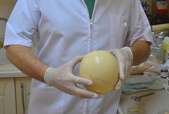 Türk Bilim Adamları Deve Kuşu Yumurtasından Doğal Yara Bandı Üretti