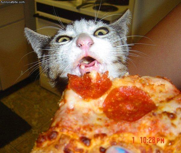 13. O pizzayı bana ver evlat!