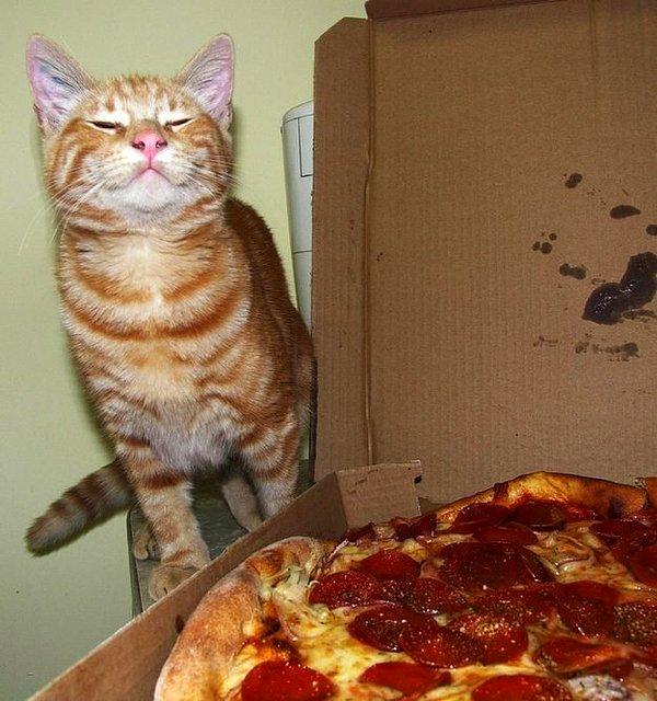 9. Bazen en güzel an, pizza kutusunu ilk açtığında, kokusunun burnuna dolmasıdır.