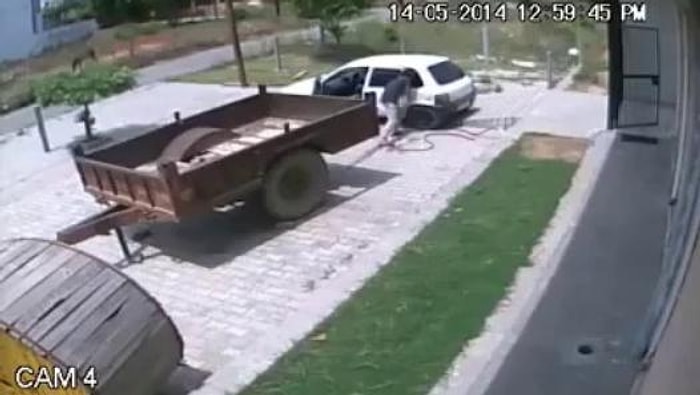 Saniyeler İçinde Arabayla Bahçeden İnek Çalmak