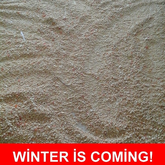 Kış İçin Hazırlanan 10 Şey