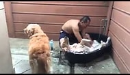 Köpek SPA Merkezi