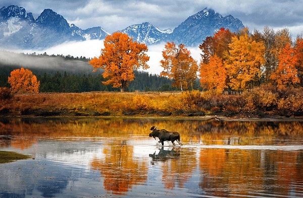 Snake River, Wyoming