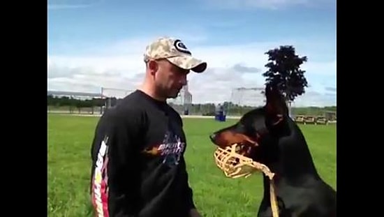 Dobermanı Kuzuya Çeviren Köpek Eğitmeni